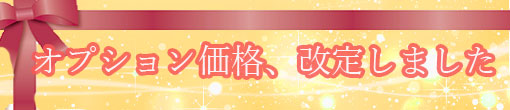 【お得になりました】オプション料金を改定致しました!